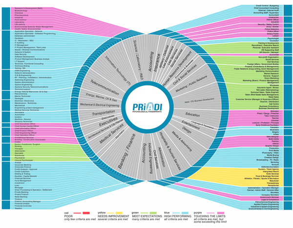 Job Fit Index